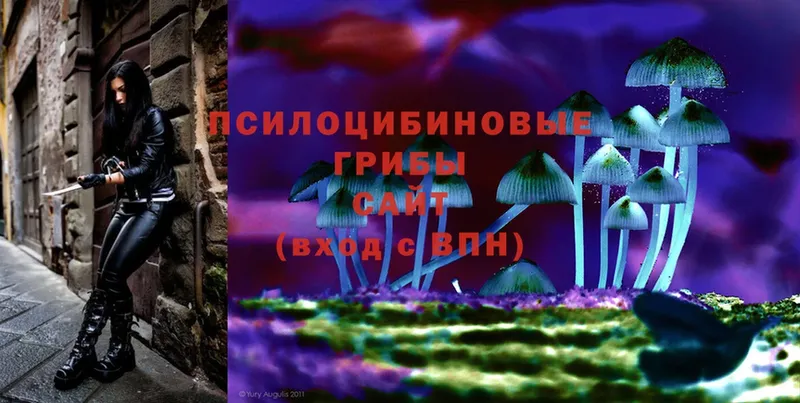 наркотики  Краснослободск  Галлюциногенные грибы Magic Shrooms 